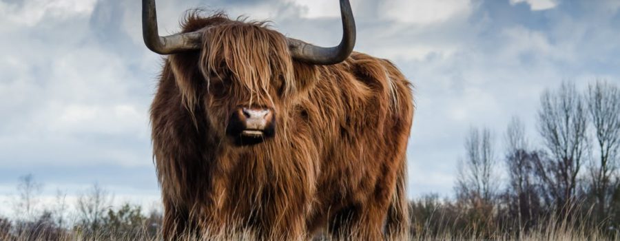 Why ego is the enemy for investors, with Dr Daniel Crosby